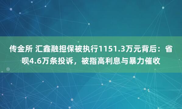 传金所 汇鑫融担保被执行1151.3万元背后：省呗4.6万条投诉，被指高利息与暴力催收