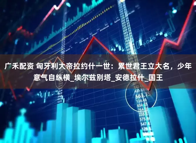 广禾配资 匈牙利大帝拉约什一世：累世君王立大名，少年意气自纵横_埃尔兹别塔_安德拉什_国王